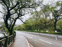 -沈阳鸟岛