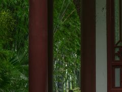 -望江楼公园
