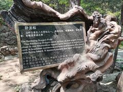 -山叶口景区