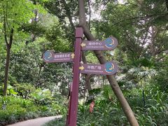 -成都市活水公园
