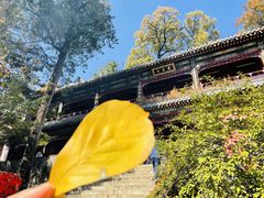 -潭柘寺景区