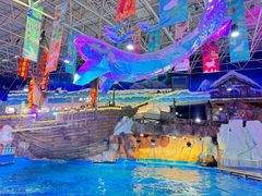 -海合安青岛极地海洋公园
