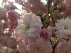 景点-济南国际园博园