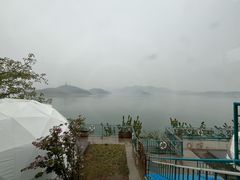 -望湖烤鱼