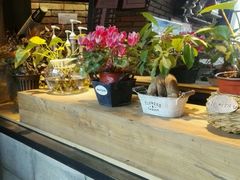 -D STAR COFFEE帝星咖啡