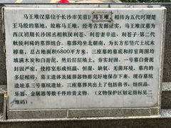 -马王堆汉墓遗址