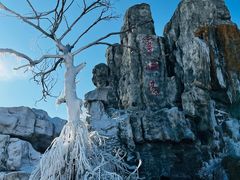 -雾凇岛