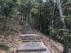 -紫金山山顶公园
