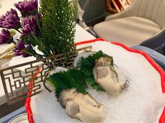 -喜聚薈·花膠雞海鮮火鍋(越秀店)