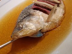 清蒸鲥鱼-HOMES上海本帮菜(襄阳公园店)