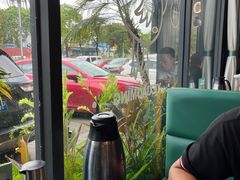 -椰小名·竹笙椰子鸡(中堂店)