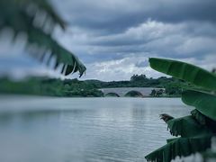 -鹤之洲湿地公园