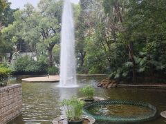 -九龙公园