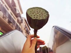 -远洋未来广场(育慧北路店)