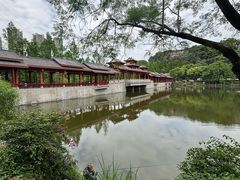 -重庆彩云湖湿地公园
