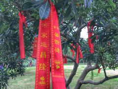 -长兴太湖图影湿地文化园