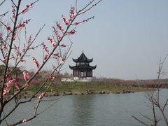 -泗洪洪泽湖湿地景区
