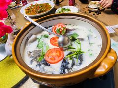 -全乐鱼馆·淳牌有机鱼直营店