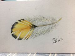 -鼎画艺术机构(贵都店)