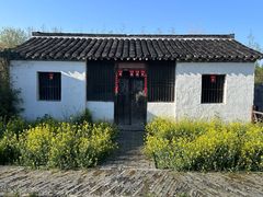 -溱湖国家湿地公园