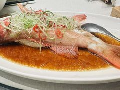 -新吉士·上海菜(浦东LCM置汇旭辉店)