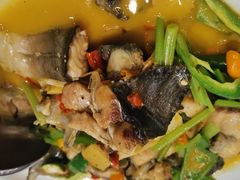 -饭怕鱼(阳光100店)