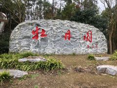 景点-上海海湾国家森林公园