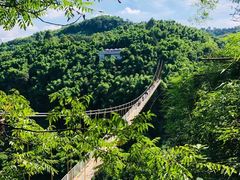 -川西竹海景区