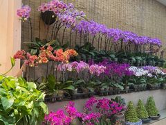 -双季花艺园艺市场(浦东店)