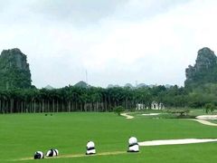 -南宁花花大世界景区