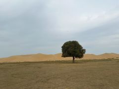 -亿利库布其七星湖沙漠生态旅游区