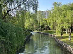 -中央公园(苏州工业园区)