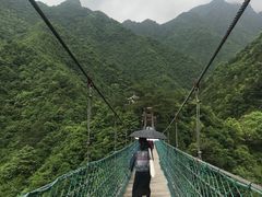 -遂昌金矿国家矿山公园