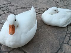 -中国农业博物馆