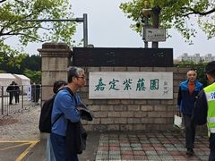 -嘉定紫藤园