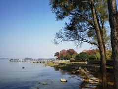 -长广溪湿地公园