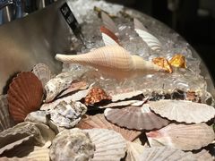 -Oyster Talks 四度蚝法餐厅