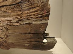 -上海中国航海博物馆