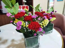 -千禧果月子会所(郑州东站店)