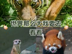 -上海野生动物园