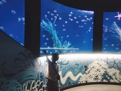 -沈阳海洋探索中心