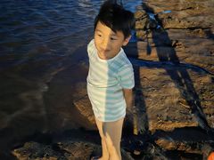-碧海金沙