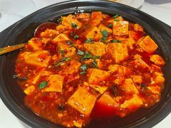 老成都麻婆豆腐-金熊猫川菜餐厅