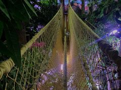 -正佳雨林生态植物园