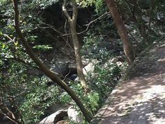 -宁波五龙潭景区