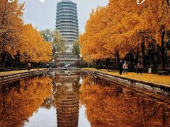 -玲珑塔公园