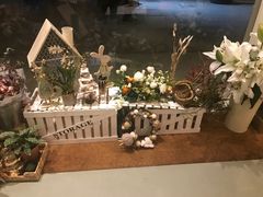 -蝶舍·MAISON PAPILLON