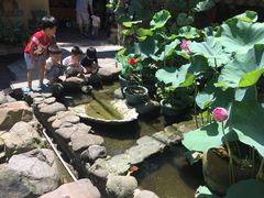 -园林美食城·本土农家菜(杨和镇店)