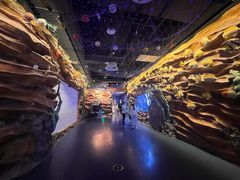 -芜湖新华联大白鲸海洋公园