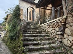 -杨家堂村